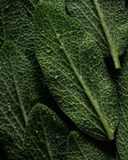 Volume Structure Kondicionierius