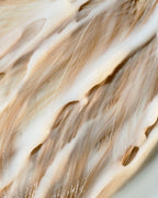 Volume Structure Kondicionierius